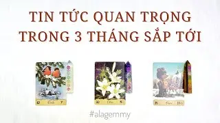 TIN TỨC QUAN TRỌNG BẠN SẮP NHẬN ĐƯỢC TRONG 3 THÁNG TỚI 📨📩🧧🍀🌈Tarot📧📯🎉