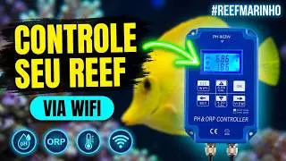TUDO COMO CONFIGURAR CONTROLADORA DIGITAL PH-803W wifi  DE ORP E PH DIRETO DA CHINA #aquarismo