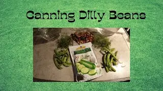 How to Can Dilly Beans