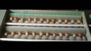 Small capacity egg washing machine, egg cleaning machine from Zhengzhou Pasen