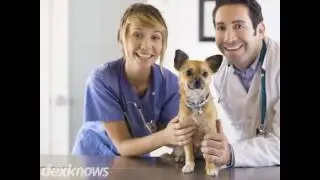 Advanced Veterinary Care Salt Lake City UT 84106-2142
