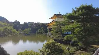 TRAVEL VLOG #8 - DAY 8 IN JAPAN: Uji Matcha Galore, Kyoto Temples, and Total Travel Expenses