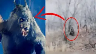कैमरे मे कैद असली भेड़िया मानव | real life werewolf caught on camera in |werewolves |caught on tape|
