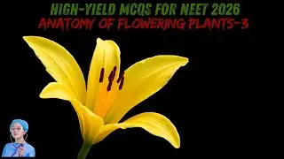 High-Yield MCQs for NEET 2026 | Anatomy of Flowering Plants-3 | by Shiksha House