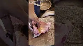 Fish cutting videos 2023 #shorts #short #shortvideo