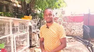 Ankouraje elvaj lapen se ankouraje yon devlopman ekonomik dirab