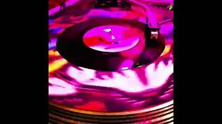 Joe Costa - Wondrous Place