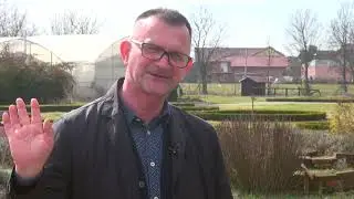 Prednosti uzgoja ljekovitog bilja - Zlatno klasje #251