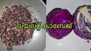  വയലറ്റ് കാബേജ് കഴിച്ചിട്ടുണ്ടോ#viralvideo #yputube #cookingvideo 