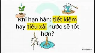 Các nhóm thực vật