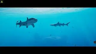 [Giochi alla Van] Beyound Blue #1 - In Fondo al Mar con Van #beyondbluegame