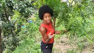 I planted a Neem tree to make my own Neem Oil.