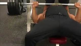 Bench Press 315 x 27 Reps to start