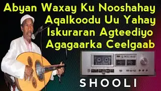 Abyan Waxay Ku Nooshahay | Cumar Shooli Hees Abyan | Iskuraran agteediyo Agagaarka Ceelgaab | shooli