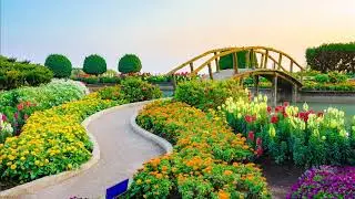 Relaxing Piano Music for Gardening, Calm Chords, Walk in the Garden, Morning Happy Music