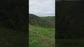 Scenic View