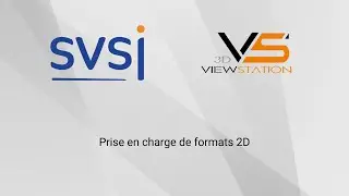 SVSI 3DViewStation Prise en charge de formats 2D