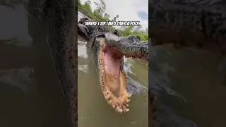 Zipline over Alligators at Orlando Gatorland #travelshorts #adventuretravel #zipline #shortsmasvlog