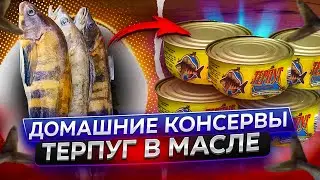 Рыбные консервы в автоклаве. Терпуг в масле.