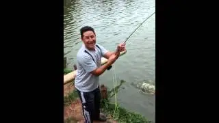 Pirarara no fly