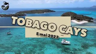 #77 - Quelques jours au mouillage dans les Tobago Cays