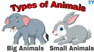 Types of Animals |#18 | Lesson 3 | Part 1 | Grade 1 | Science | MES