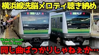 【改正でメロディ消滅】横浜線の全駅で発車メロディを聴き納めつつ入場券を全駅集める【横浜線洗脳メロディ】