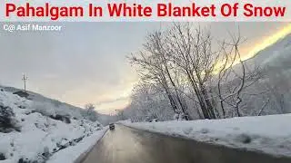 Pahalgam In White Blanket Of Snow
