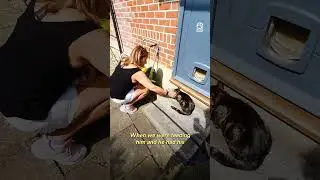 Его кормили 2 года, но когда он вернулся раненым, все изменилось ❤️