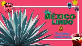 México Lindo T2 | Destilados tradicionales