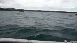 Whaleswatching