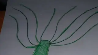 A Closer Look: Green Hydra