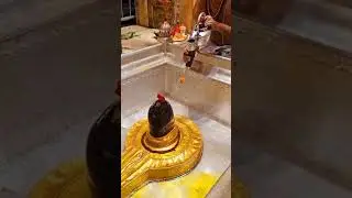 Har Har Mahadev 🔱 Shambhu Shankar DJ Remix 2025 | Powerful Mahakal Bhajan DJ Mix#HarHarMahadev