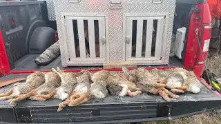 2024-2025 Rabbit Hunting KILL SHOT COMPILATION!!