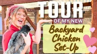 My Second Go At A Backyard Set Up For My Amazing Chickens | Plus Tips For Safety! :)