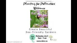 Planting for Pollinators - Create a Beautiful Bee Friendly Garden