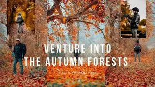 Kashmir&rsquo;s Autumn Blaze | Stunning Forest Visuals 😍 🔥