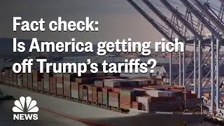 Fact Check: Is America Actually Getting Rich Off President Donald Trump's Tariffs? | NBC News