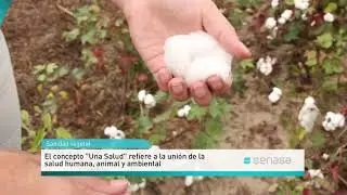 Protecci&oacute;n vegetal hacia 