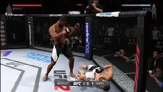 UFC KO #228