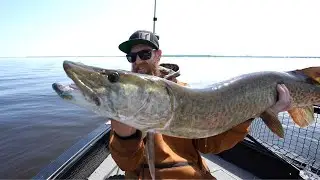 Canadian Musky Opener 2025 ( Early Season Success)
