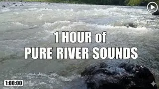 Pure Water Flow ASMR | 1 Hour Immersive River Ambience
