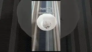 #shorts#tips #asmr#tipsandtricks#reels#indiantips#darkfeet#ytshortsfeed #viral#glowingskin#trending