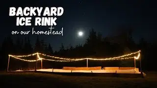 Built Backyard Ice Rink On Our Homestead (start to finish)