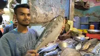 Sasta Machli Bazar - Buffer Zone Bangali Para  Fish Market Tour Karachi
