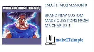 CSEC IT: MULTIPLE CHOICE SESSION 8 | ULTRA INSTINCT | MAKE | IT | SIMPLE | TT