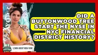 Did A Buttonwood Tree Start The NYSE In NYC Financial District History? - Learn About New York