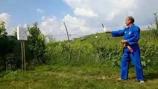 Vovinam - superior knife throwing techniques - M Gelu Toma