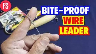 Sunday Fishing Tips - THE PERFECT 