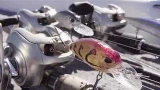 M 65 Crank Bait